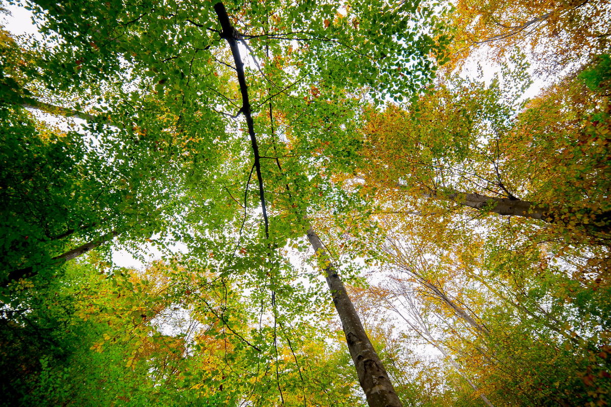 Comment Voyager Fatigué : 8 Astuces pour Récupérer Rapidement sur la Route